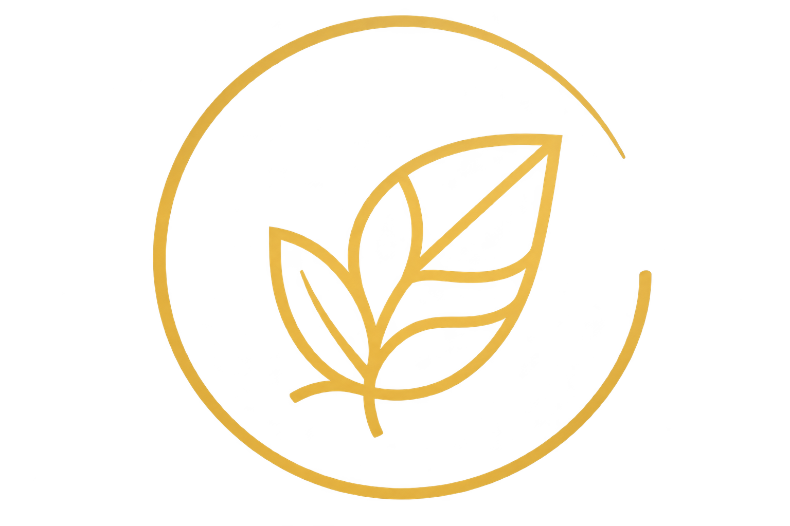 Cuộn để khám phá